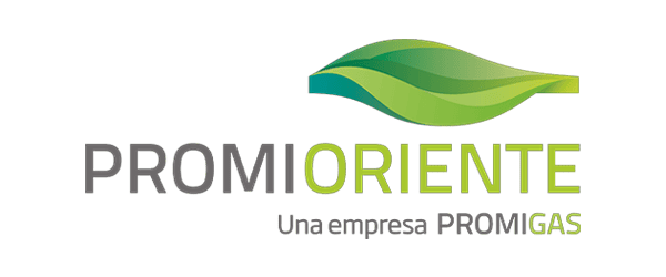 Cliente 11